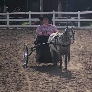 Meet your Posher, Tracy